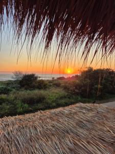 Casa Kava - Estilo y vibra en Puerto Escondido