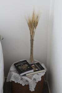 Kamenka Alojamientos