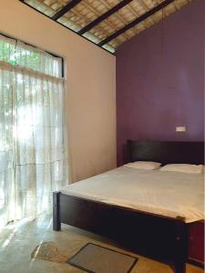 Villa Rock house