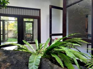 Villa Rock house