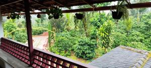 Heights Farm Stay - Nature Stay Near Madikeri