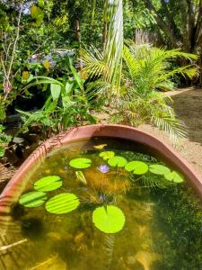 Casa pájaros- Habitacion Quetzal