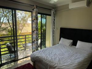 Steady State Apartment 2