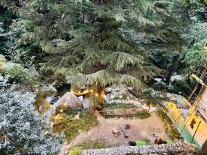 The Natures Vault Jibhi