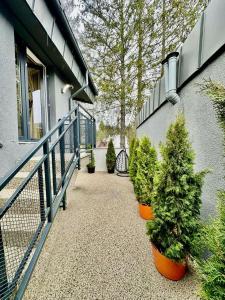 AYASI Luxury Apartment Predeal