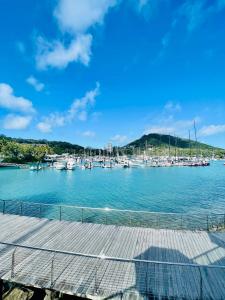 Ocean View Island 2-bedroom Townhouse Buggy Valet service extra Queen air bed