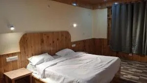 TIPSYY MOUNTAINs - Ani