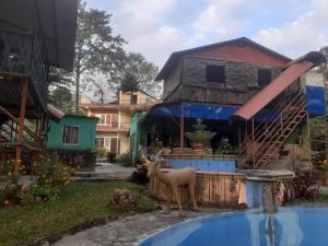 Shanti Cottage Managed By Shanti Guest House Group