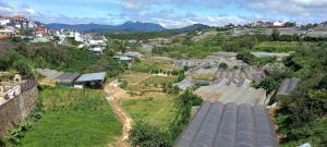 Phòng Tiêu Chuẩn Giường Lớn (Standard King Room)