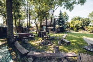 Pole Namiotowe Kogutowo