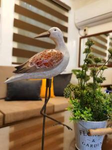 Samong Transient House