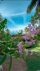 Farming Hostel Ahangama - 米迪加马东