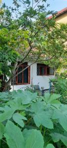 Farming Hostel Ahangama