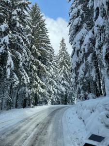 Maisons de vacances Gite des Brimbelles : photos des chambres