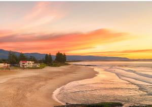 Luxe Newly Renovated 2BR Unit - Pet Friendly - WALK TO BEACH