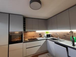 Modern apartment Konjice