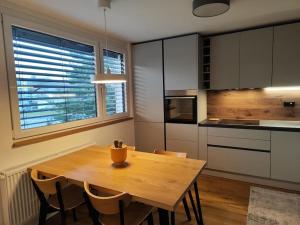 Modern apartment Konjice