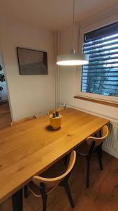 Modern apartment Konjice