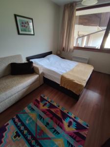 Nixons Bansko Studio