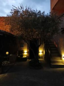 B&B / Chambres d'hotes Chambre d-hote Les Oulies Bedoin : photos des chambres