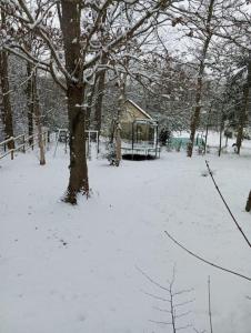 Maisons de vacances Gite dans les bois en Normandie : Maison 2 Chambres