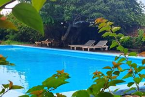 Ocean Villa Watamu - Exclusive Villa in Kenya with Pool and Tropical Garden