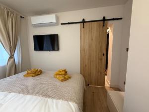 Cozy design 1 bedroom apartment