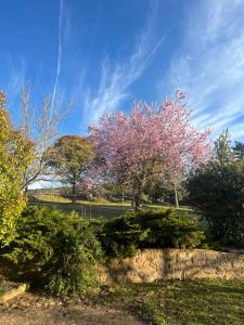 El Ventador de la Torra