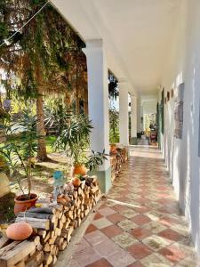 Öregfenyő Tornácosház