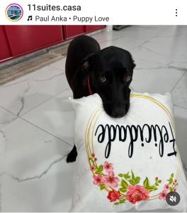 11suites casa Suite#1