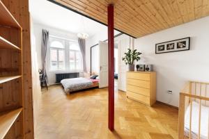 MIKE’S HUGE APARTMENT