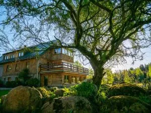 Polanka 2 - 普热谢卡