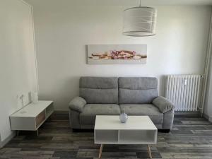 Appartements Appartement in der Nahe des Paul Constans Lycee : photos des chambres