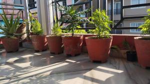 Namaste Stay Apartment