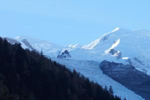 Appartement La Suite Mont-Blanc