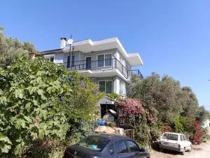 Olive grove mansion - kösedere village - 福卡