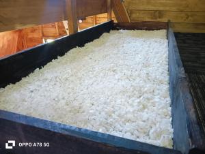 Refugio Alpina lodge