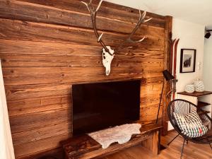 Stube9 am Feldberg, direkt an der Skipiste, Ski in-Ski out