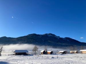 Garten Seeapartments Kärntnerhof Hundefreundlich