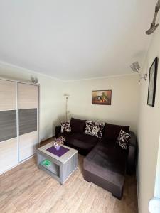 Standard Apartment room in Apartmani Radoičić