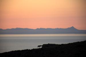 Infinity Wellness Boutique Hotel