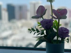 Amazing Sea View Stay Abu Dhabi