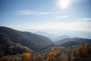 Boggi Apartman, Kopaonik