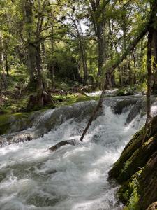 Cabañas San Sebastián
