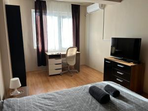 Nice, Spacious and Cozy Apartment