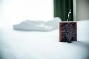 Nature Loft Hideaway Apartment - Timisul de Jos