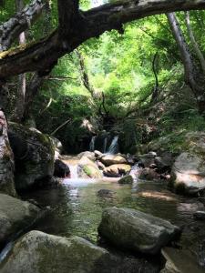 Hermit Room in The Ghost Town of Zerni