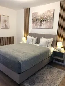 Blue City Residence Sibiu - 克里斯蒂安