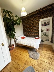 Cosey and vibrant flat in Leith, Edinburgh