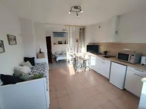 Appartement Piste Verte - Salles